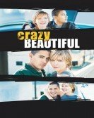 Crazy/Beautiful (2001) Free Download