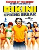 Bikini Spring Break (2012) poster