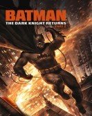 Batman: The Dark Knight Returns, Part 2 (2013) Free Download