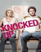 Knocked Up (2007) poster