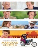 The Best Exotic Marigold Hotel (2011) Free Download