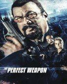 The Perfect Weapon (2016) Free Download