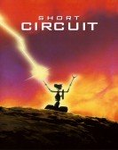 Short Circuit (1986) Free Download