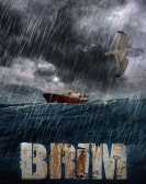 Brim (2010) poster