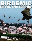 Birdemic: Shock and Terror (2010) poster
