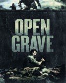 Open Grave (2013) poster