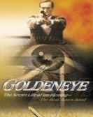 Goldeneye (1989) poster