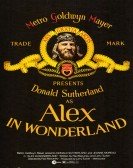 Alex in Wonderland (1970) poster