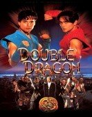 Double Dragon (1994) poster