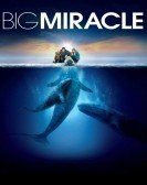 Big Miracle (2012) Free Download