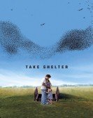 Take Shelter (2011) Free Download