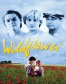 Wildflower (1991) Free Download