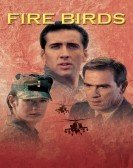 Fire Birds (1990) poster