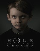 The Hole in the Ground (2019) poster