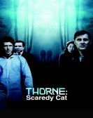 Thorne: Scaredy Cat (2010) poster