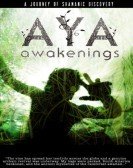 Aya: Awakenings (2013) poster