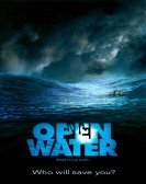 Open Water (2004) Free Download