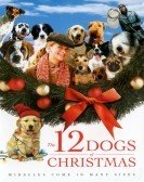 12 Dogs Of Christmas poster
