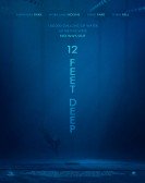 12 Feet Deep (2016) Free Download