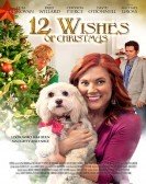 12 Wishes of Christmas Free Download