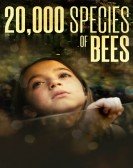 20,000 Species of Bees Free Download
