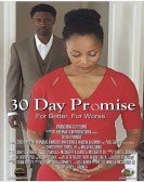 30 Day Promise Free Download