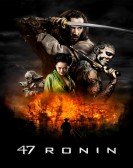 47 Ronin (2013) poster