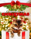 A Bengal for Christmas Free Download