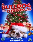 A Bulldog for Christmas poster