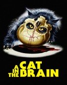 A Cat in the Brain Free Download