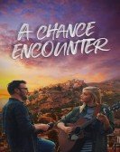A Chance Encounter Free Download