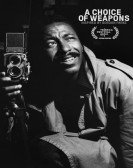 A Choice of Weapons: Inspired by Gordon Parks poster