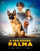 poster_a-dog-named-palma_tt8396480.jpg Free Download