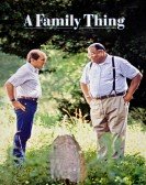 A Family Thing poster