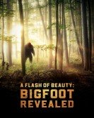 poster_a-flash-of-beauty-bigfoot-revealed_tt14869850.jpg Free Download