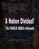 A Nation Divided? The Charlie Hebdo Aftermath Free Download