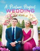 A Picture Perfect Wedding Free Download
