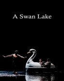 A Swan Lake Free Download