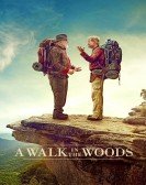 A Walk in the Woods (2015) Free Download