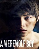 A Werewolf Boy Free Download