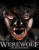 A Werewolf in Slovenia poster