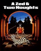 A Zed & Two Noughts Free Download