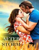 After the Storm (2019) poster