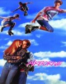 Airborne (1993) Free Download
