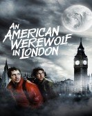 An American Werewolf in London (1981) Free Download