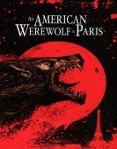 poster_an-american-werewolf-in-paris_tt0118604.jpg Free Download