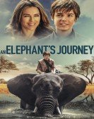 Phoenix Wilder and the Great Elephant Adventure (2018) poster