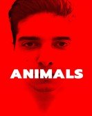 Animals Free Download