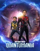 Ant-Man and the Wasp: Quantumania Free Download