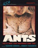 Ants poster